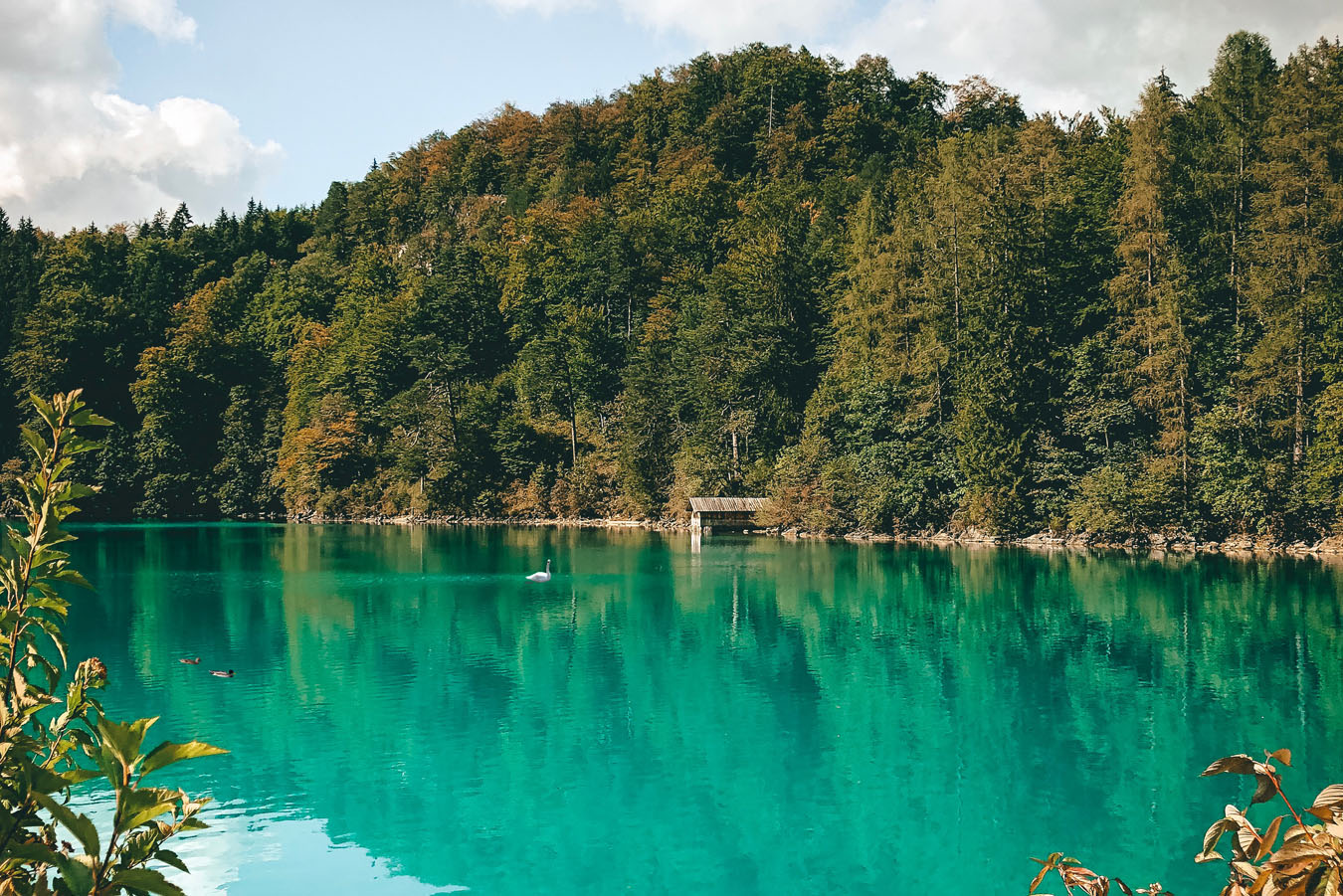 Mazury2 Un