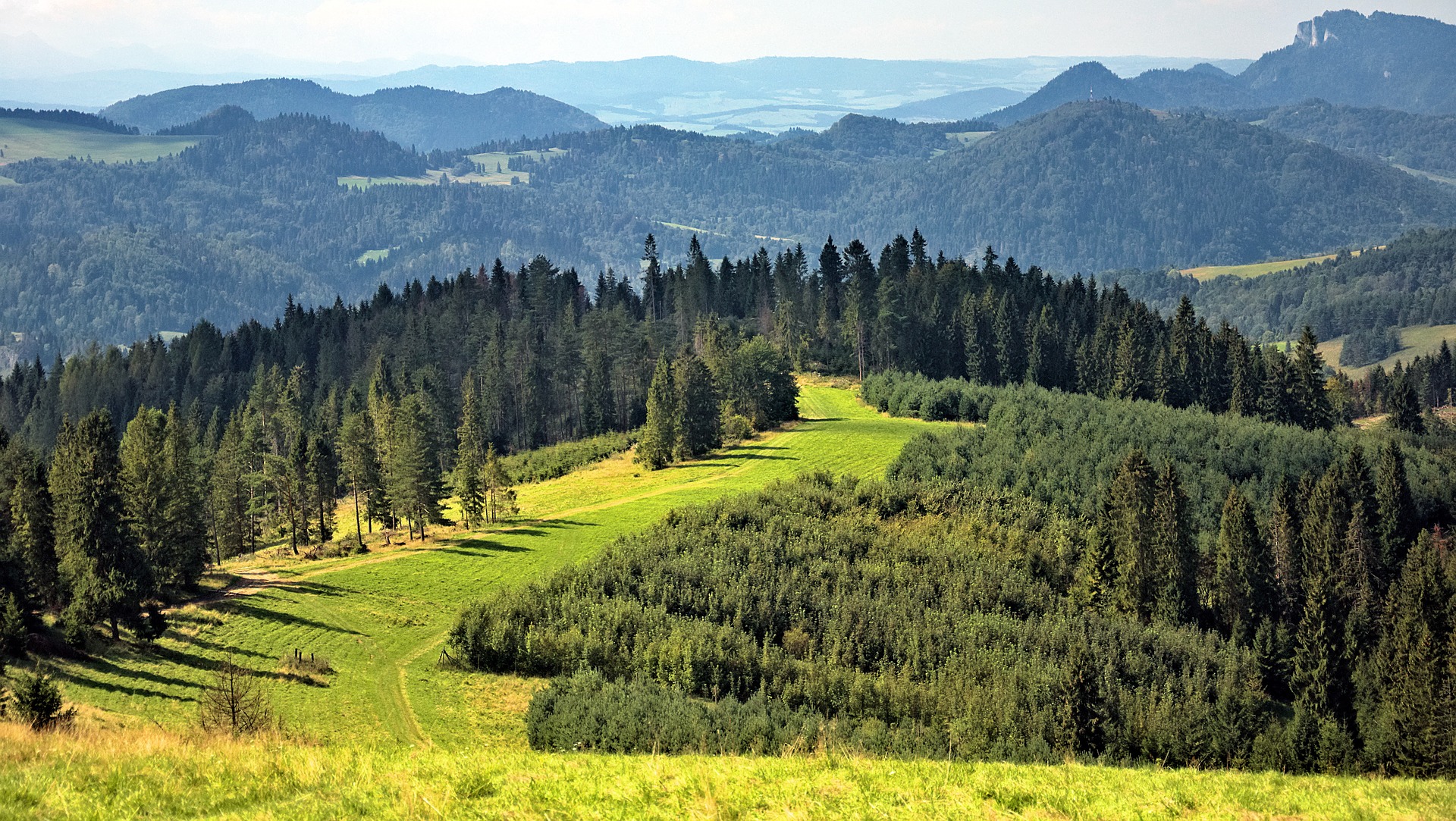Pieniny PX 03